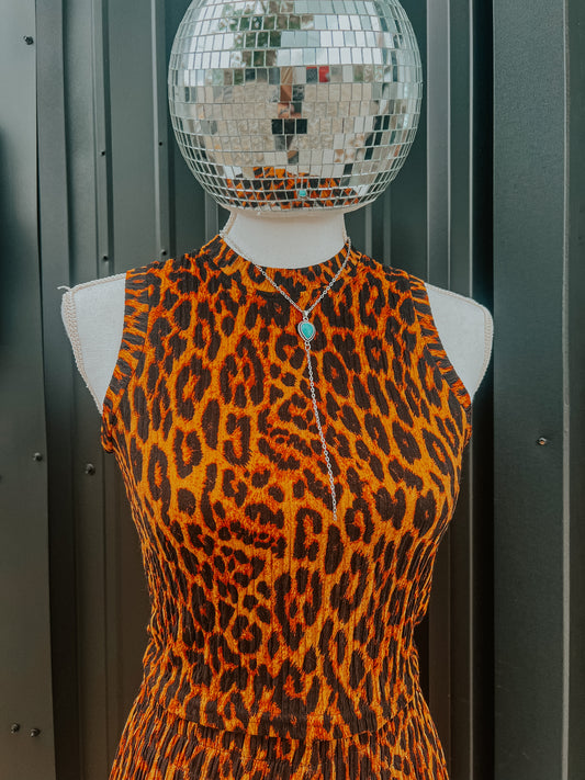 The Cheetah Set